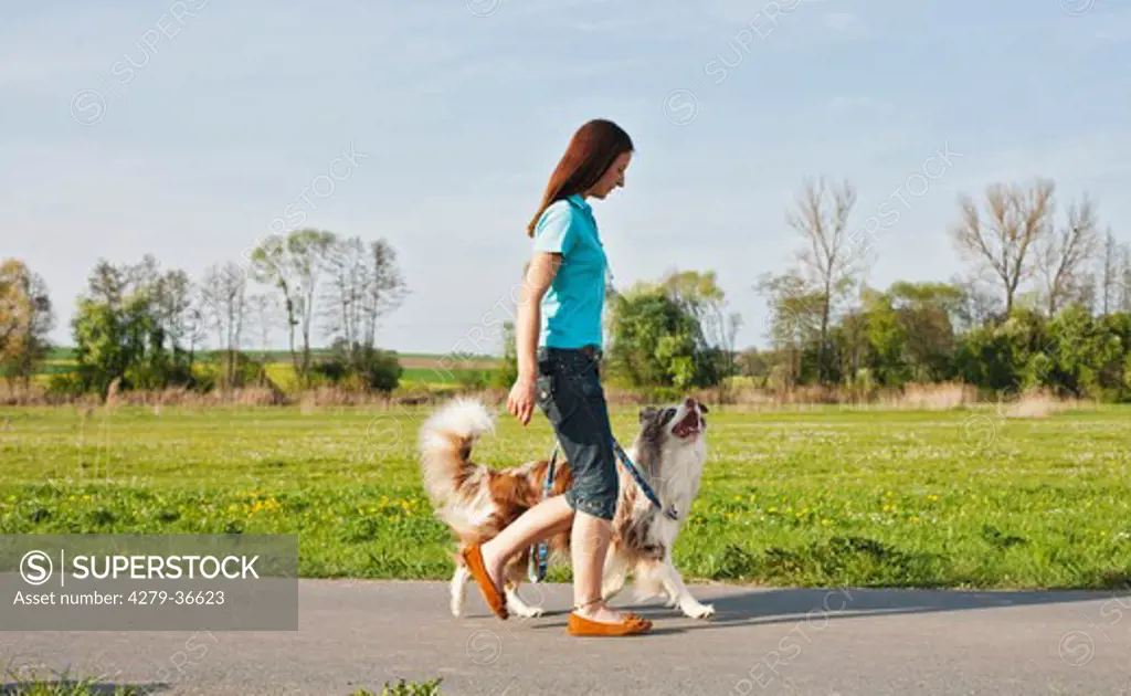 woman and Australian Shepherd dog - taking a walk