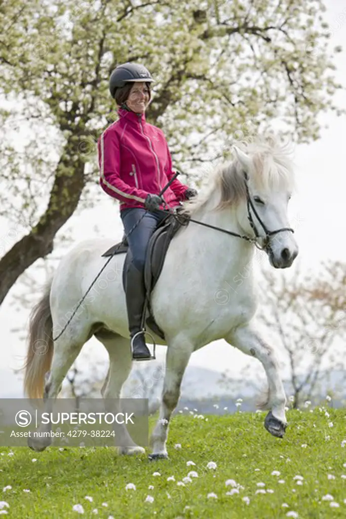 woman riding on Icelandic horse