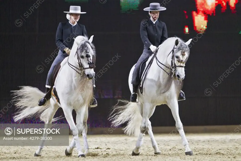 dressage - two women on Pure Spanish-bred horses