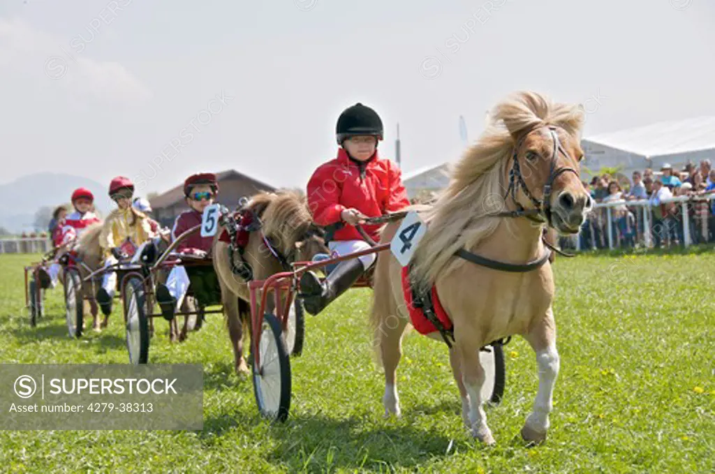 children at a Trotting race
