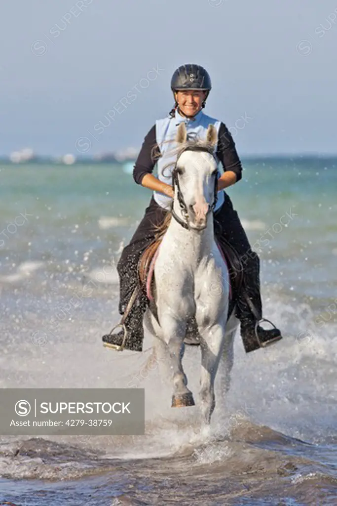 woman riding on Arabian horse