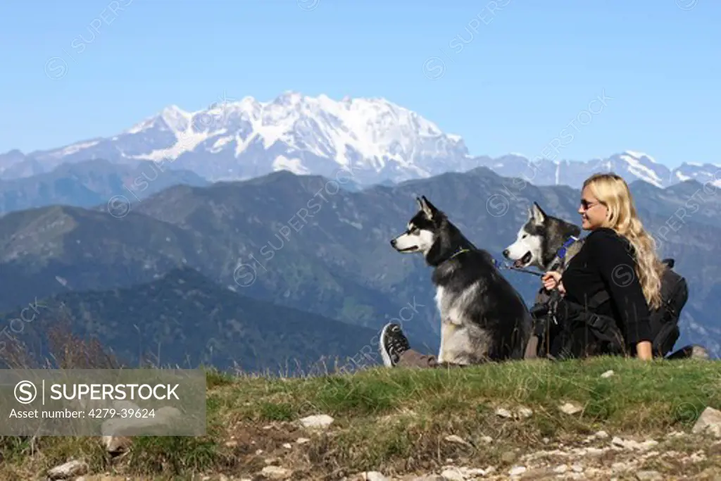 young woman and two Siberian Husky dogs on the mountain