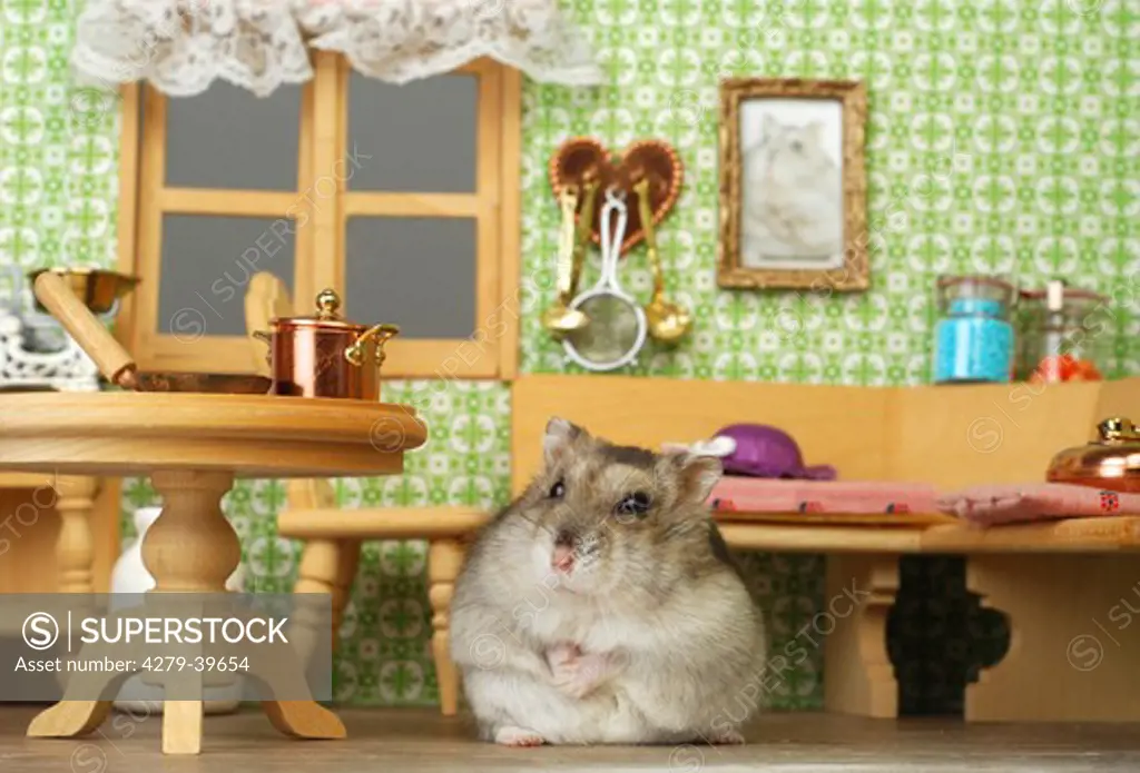 Hamster in dollhouse