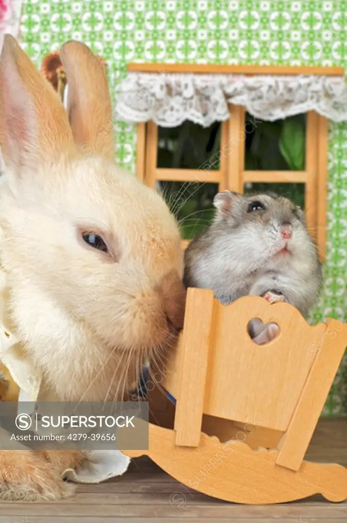 rabbit and hamster in dollhouse