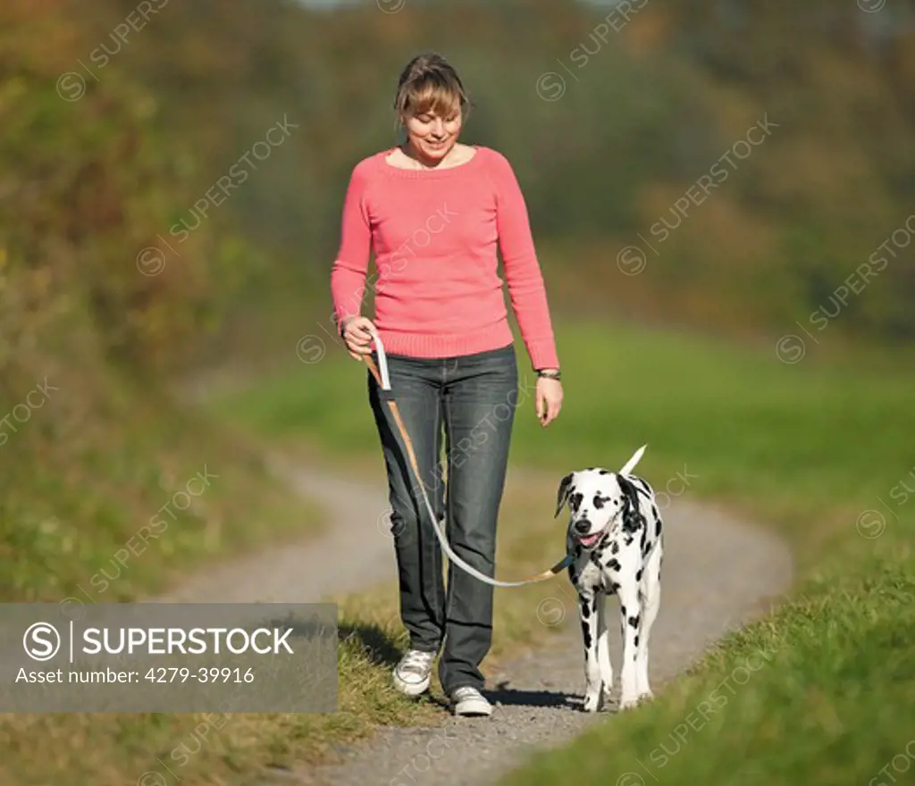 woman and Dalmatian dog taking a walk
