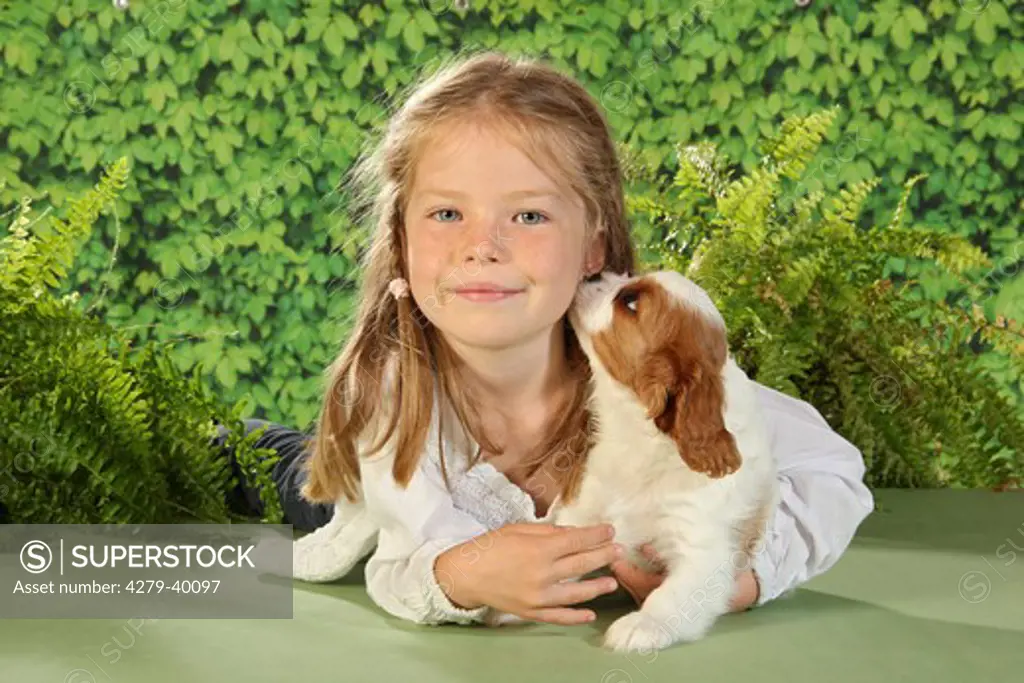 girl and Cavalier King Charles Spaniel puppy