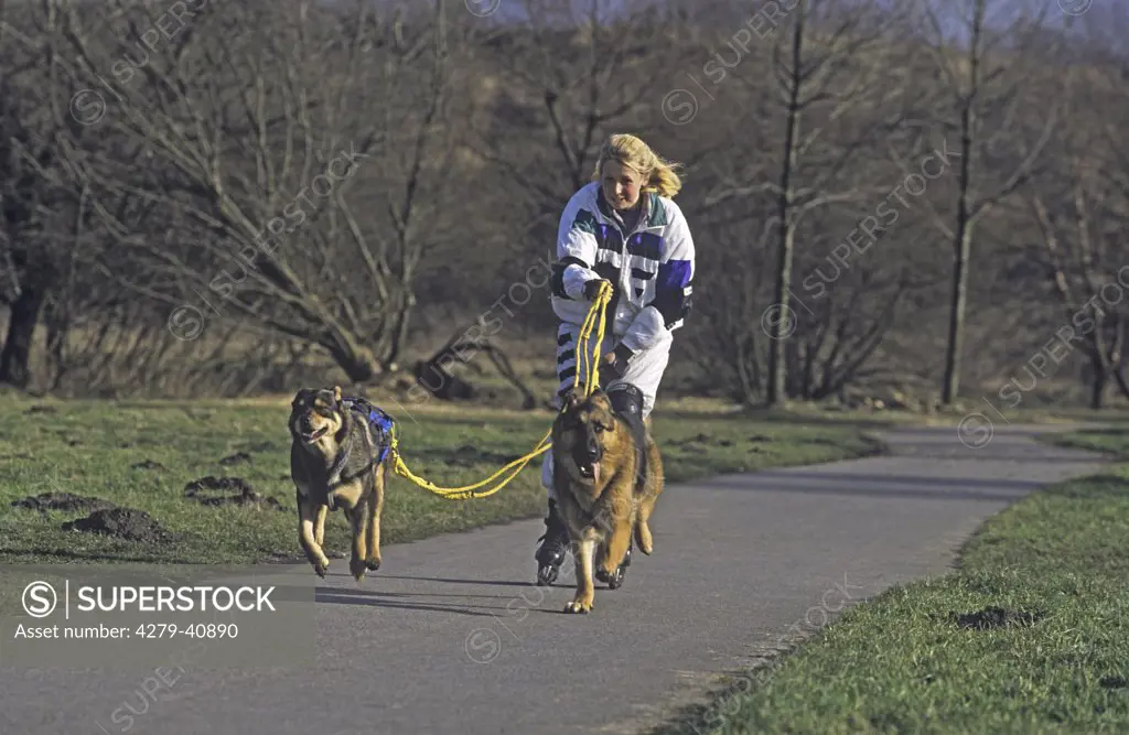 2 dogs pulling woman on in-line skates