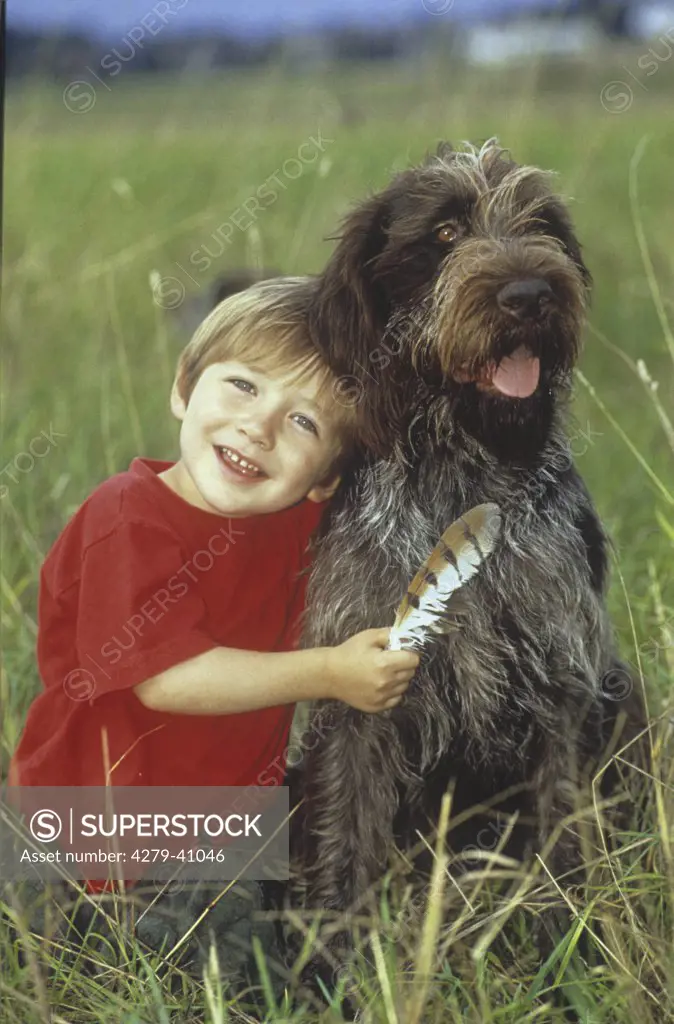 boy with german wirehaired pointer ,