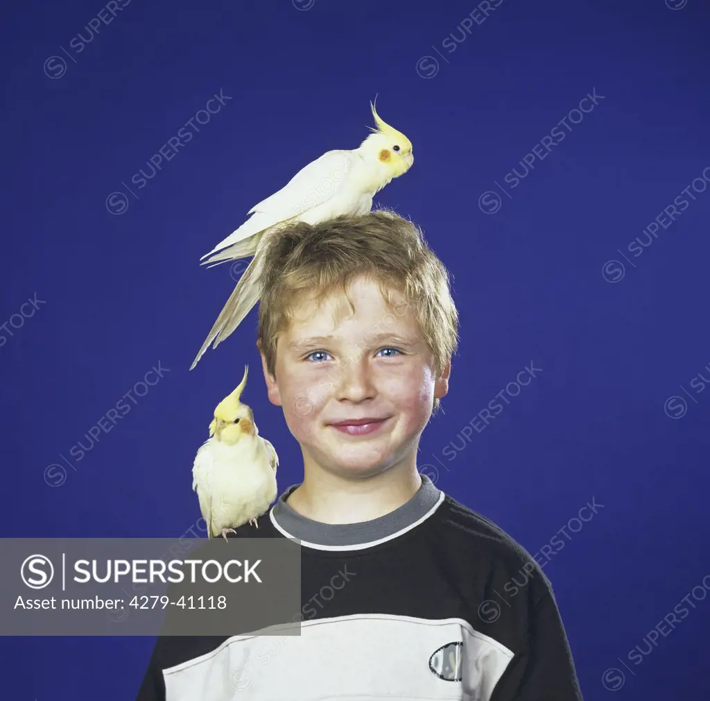 boy with two cockatiels