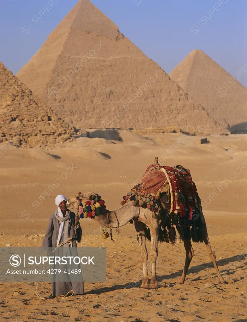 Egypt: man with dromedary camel in front of pyramids