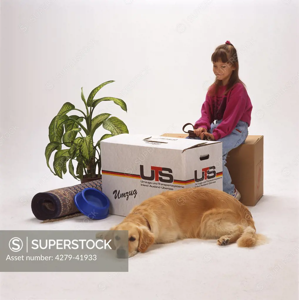 move: girl, dog and boxes