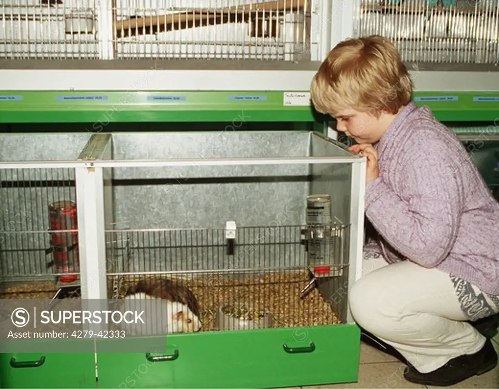 girl in a petshop with guinea pig