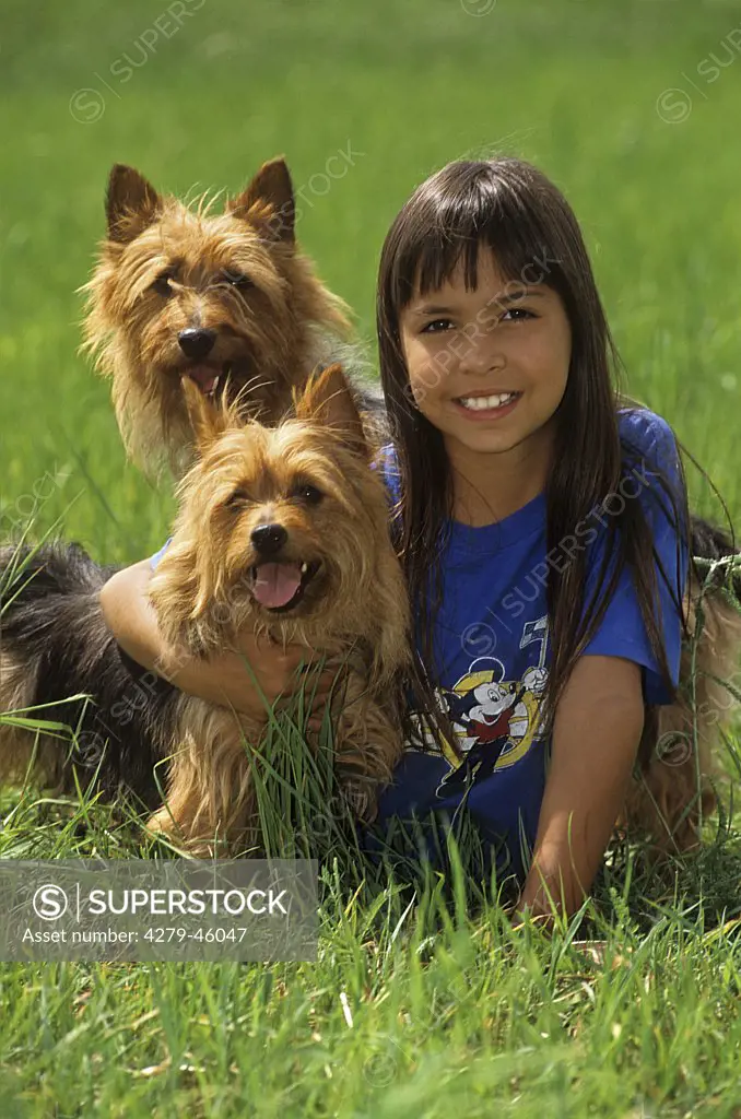 girl with two Cairn Terrier on meadow