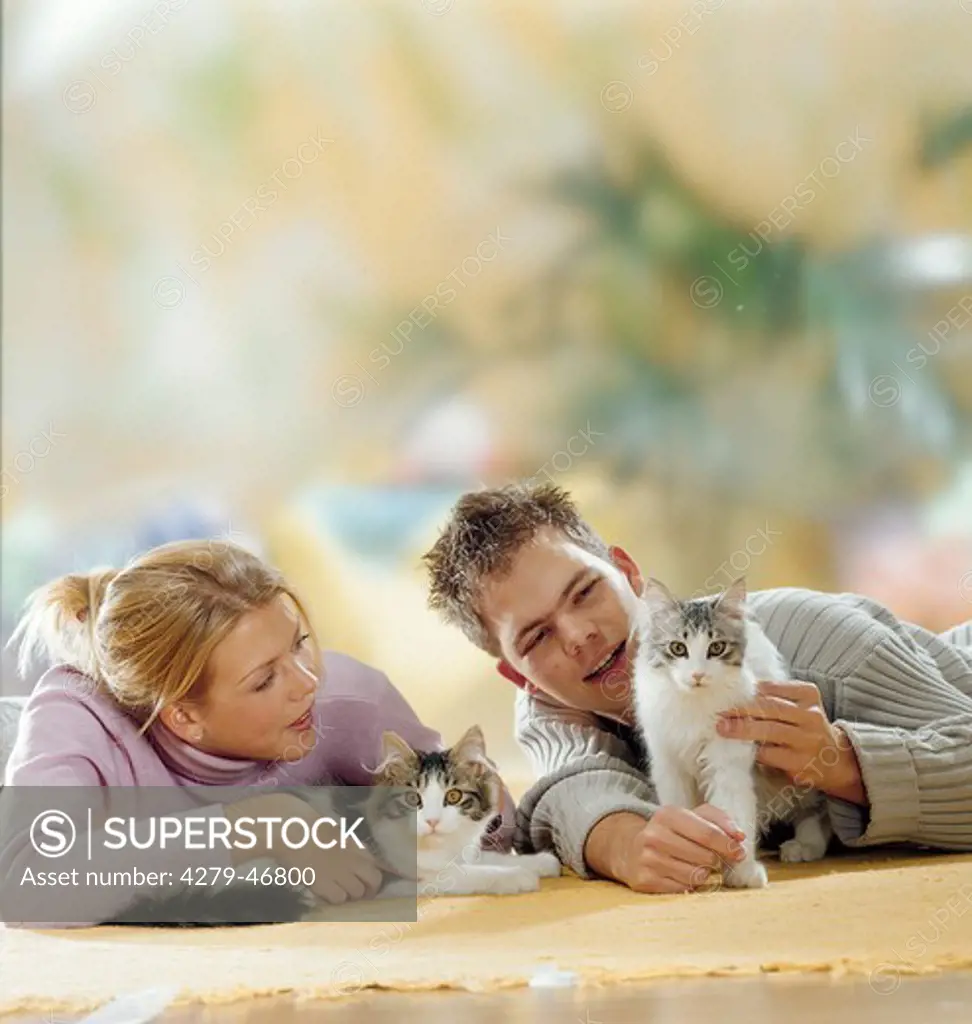 boy and girl with two domestic cats