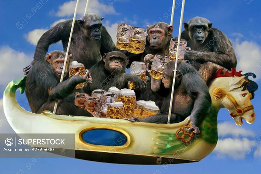monkeys with beer mugs in swing boat