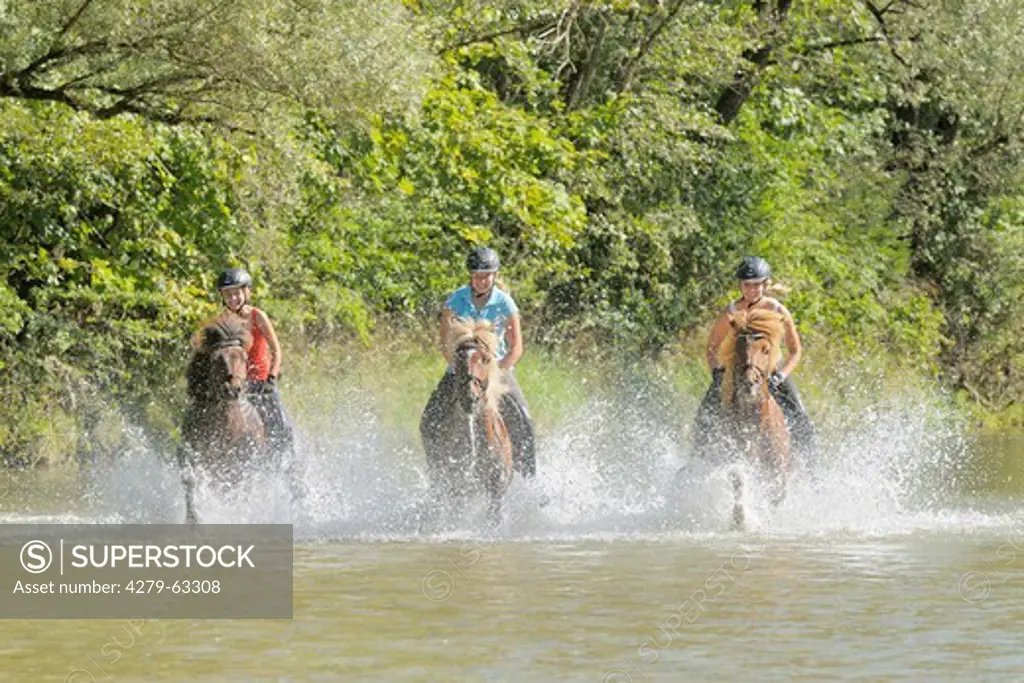 Icelandic Horse. Three young riders galloping in the river Isar south of Munich, Bavaria, Germany. Model release available
