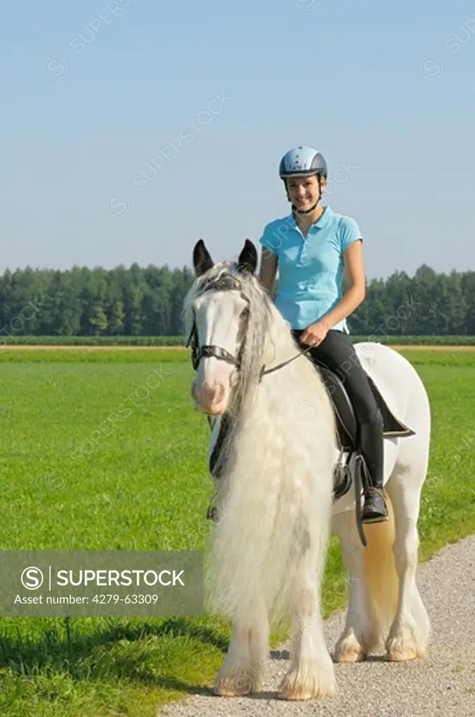 Gypsy Vanner Horse, Irish Tinker. Young rider on a Tinker standing on a road