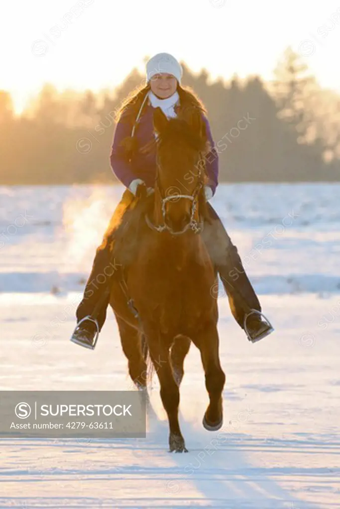 Riding out on a Paso Fino in winter at sunset