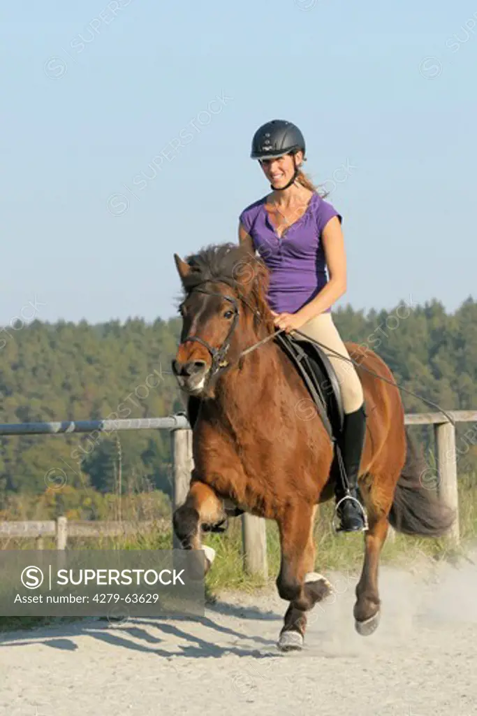 Young rider galloping on an Icelandic horse