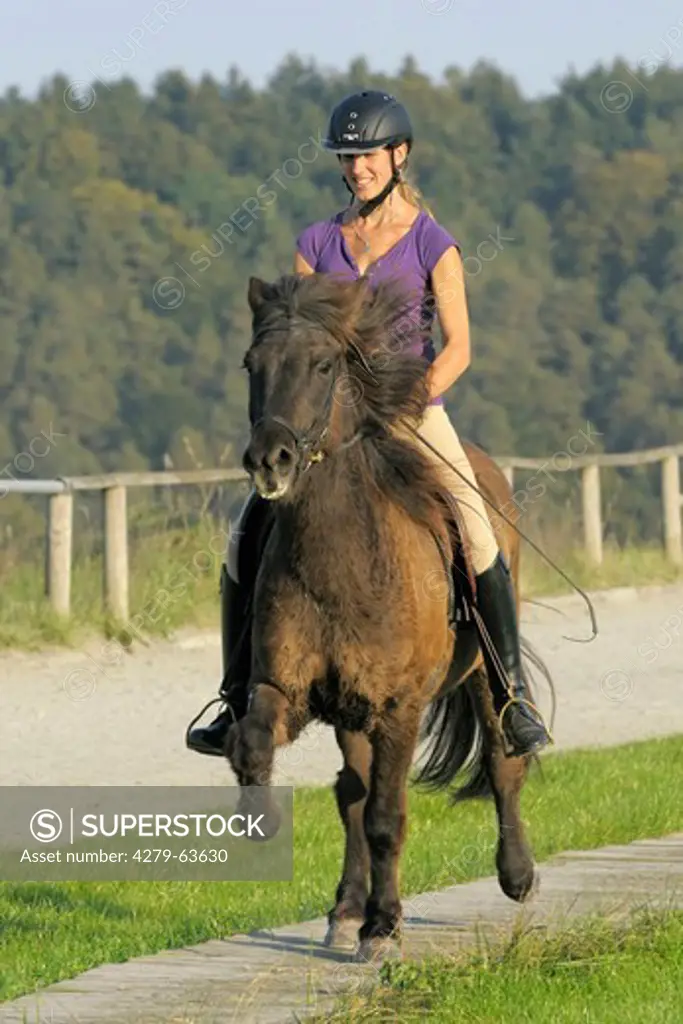 Young rider on an Icelandic horse riding toelt over a fino strip