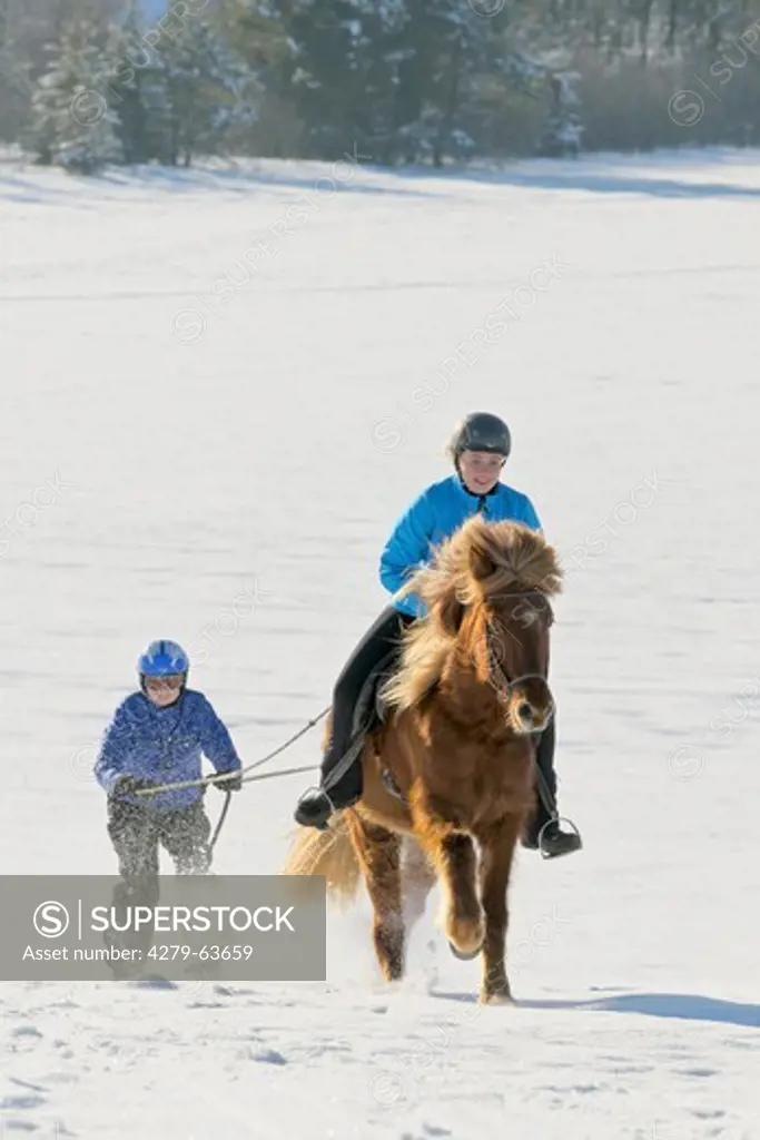 Two girls having fun while skijoring with an Icelandic horse
