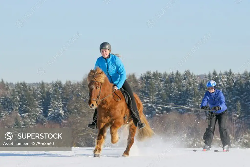 Two girls having fun while skijoring with an Icelandic horse
