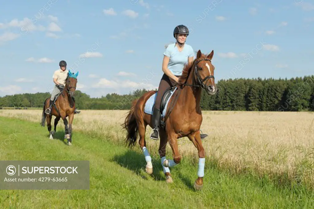 Couple riding out together on Oldenburg and Trakehner Horses along the edge of a field