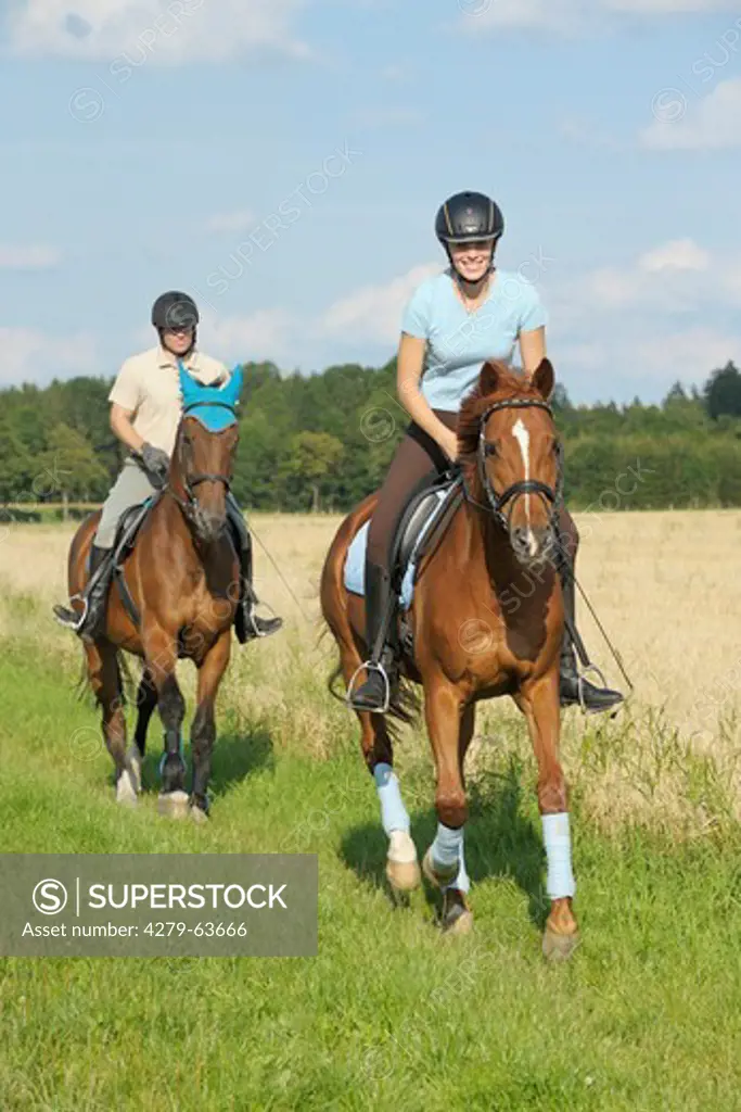 Couple riding out together on Oldenburg and Trakehner Horses along the edge of a field