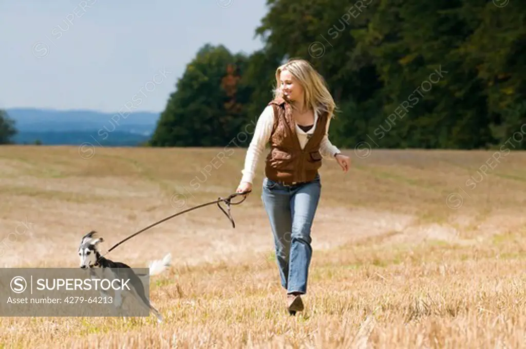 Woman with a Saluki on lead walking across a stubble field