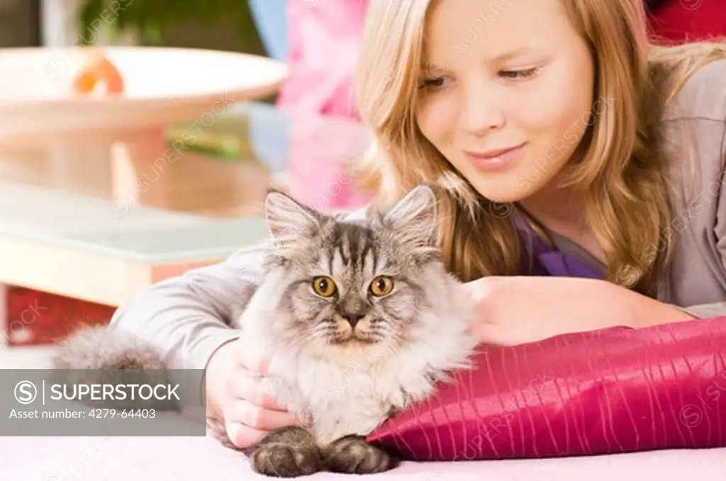 British Longhair lying next to a smiling girl on a cushion
