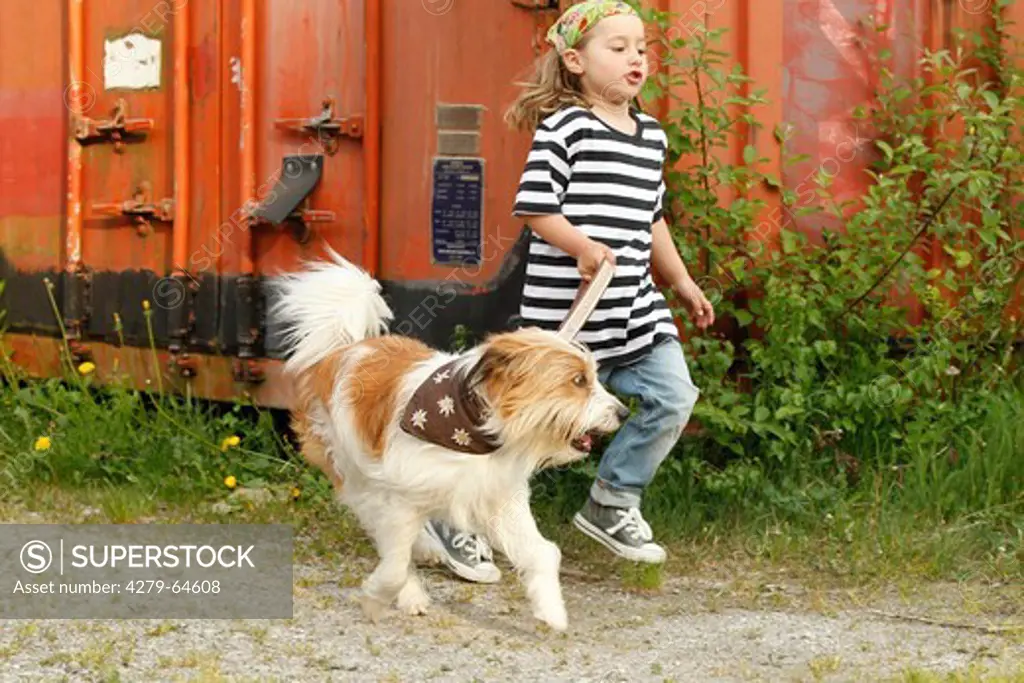 Young girl with its Kromfohrlaender on a lead running on front of old freight containers