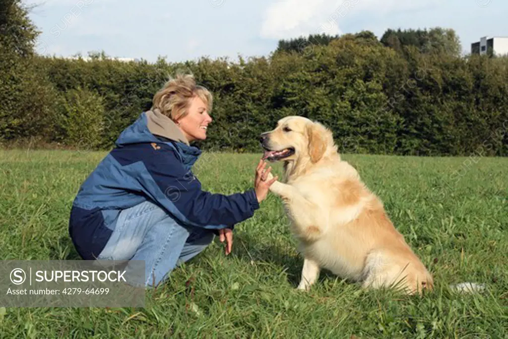 Young woman kneeling in a medow with her Golden Retriever, hand in hand