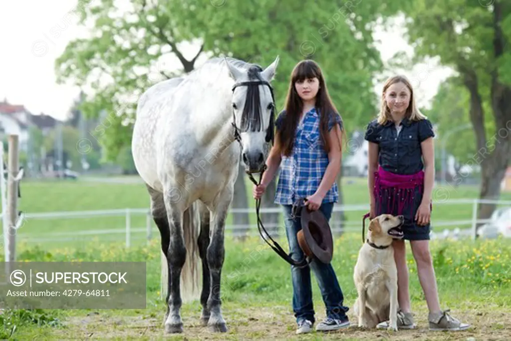 Two girls with a gray horse and a Labrador Retriever in a paddock