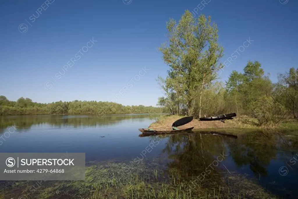 Riverine landscape. Prypyatskiy National Park, Belarus
