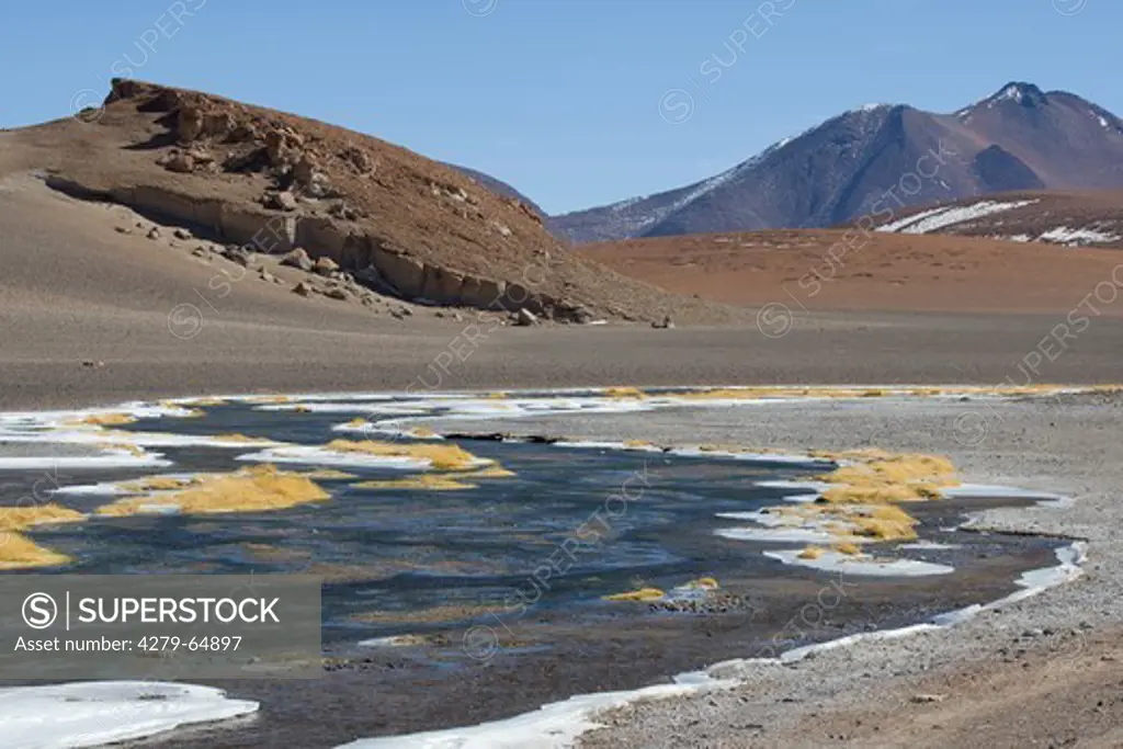Frozen lagoon at mountain pass Paso de Jama near San Pedro de Atacama, Chile