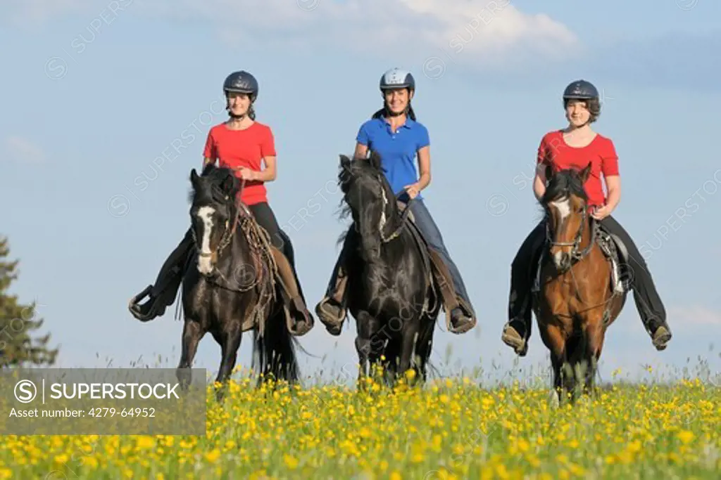 Paso Fino. Three young riders on back of Paso Fino horses toelting in a flowering meadow