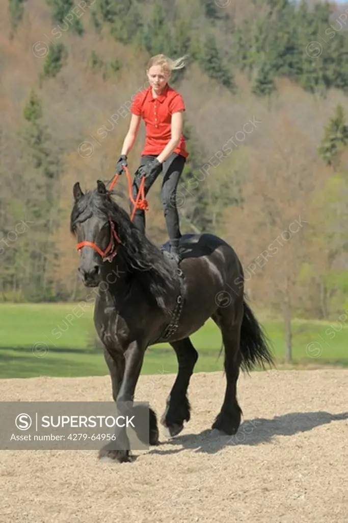 Girl standing on back of a walking Friesian horse