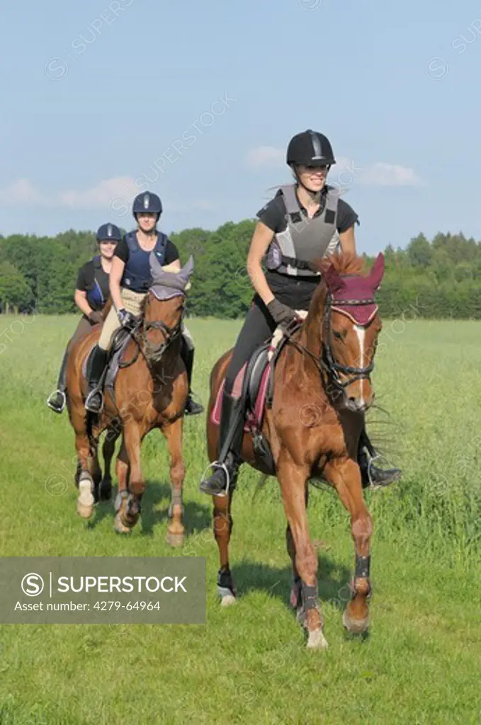 Three riders wearing a riding helmet and a body protector during a ride out
