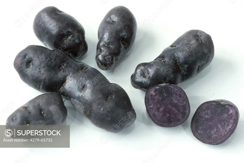 DEU, 2004: Potato (Solanum tuberosum), variety Trueffel, studio picture.