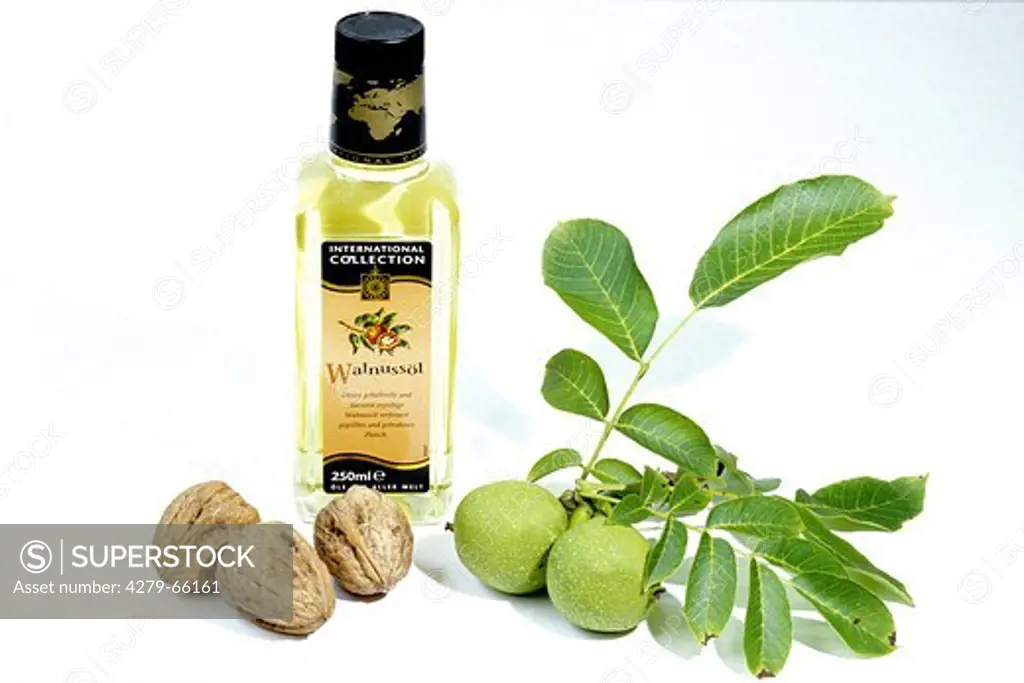 DEU, 2004: English Walnut, Persian Walnut (Juglans regia), walnuts, walnut oil and twig with leaves and unripe nuts, studio picture.