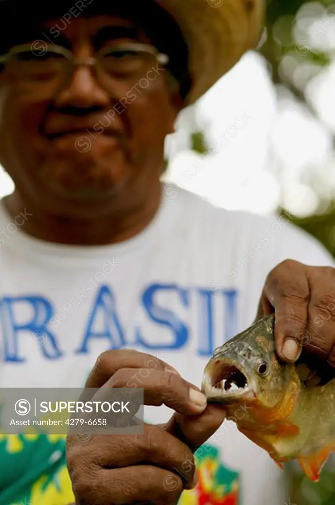 man showsing mouth of a convex-headed piranha, red piranha, Serrasalmus natteri