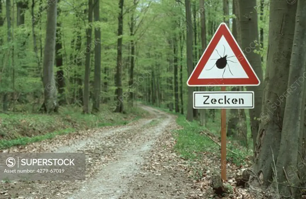 DEU, 2004: Castor Bean Tick (Ixodes ricinus). Tick warning sign at the side of a woodland road.