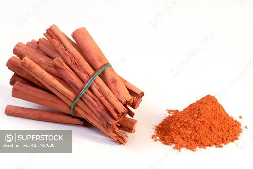 DEU, 2002: Ceylon Cinnamon (Cinnamomum zeylanicum, Cinnamomum verum), bundle of sticks and ground material.