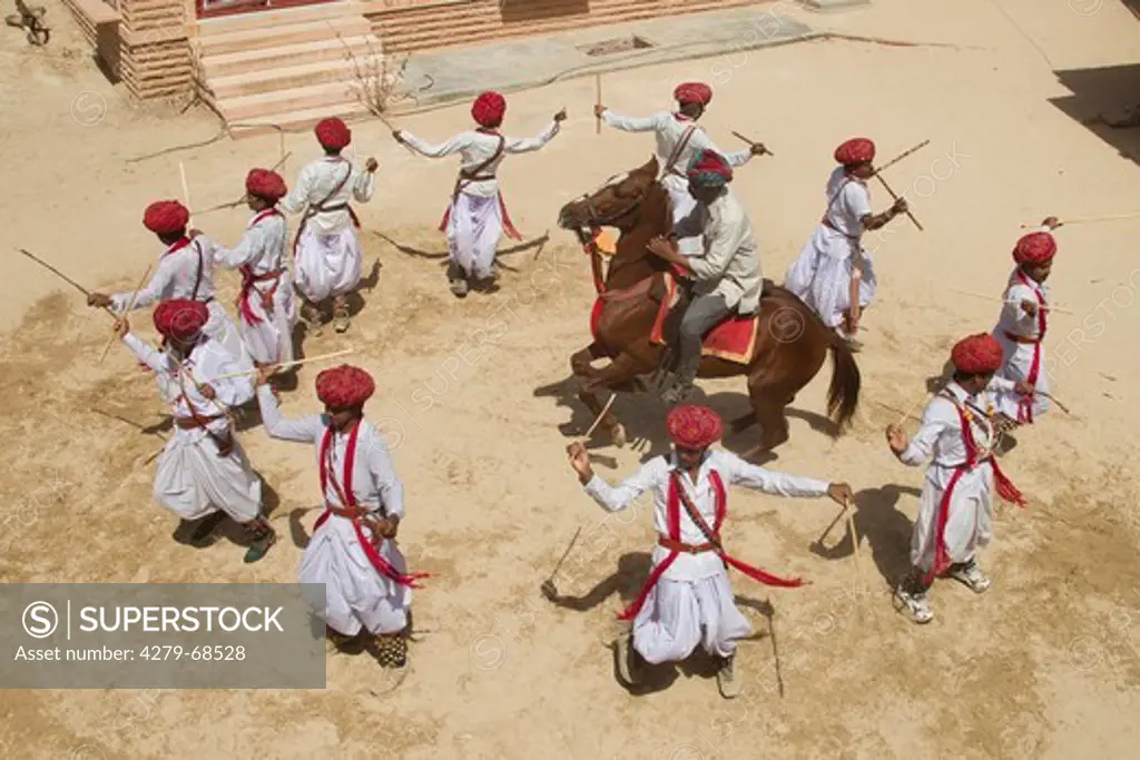 Marwari Horse. Local dancers during a performance with a rearing chestnut stallion