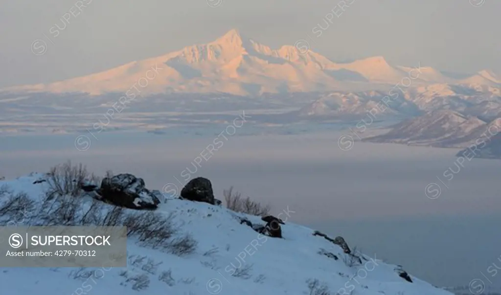 Kronotskoye Lake and Unan Volcano in winter. Kronotsky Zapovednik, Kamtchatka, Russia