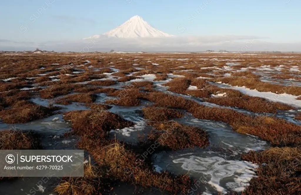 Winter begins in the swampy coastal tundra of the reserve. Kronotsky Zapovednik, Kamtchatka, Russia