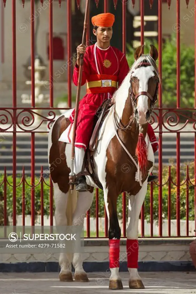 Marwari Horse Lance-bearing cavalryman skewbald stallion doing guard duty front of gate