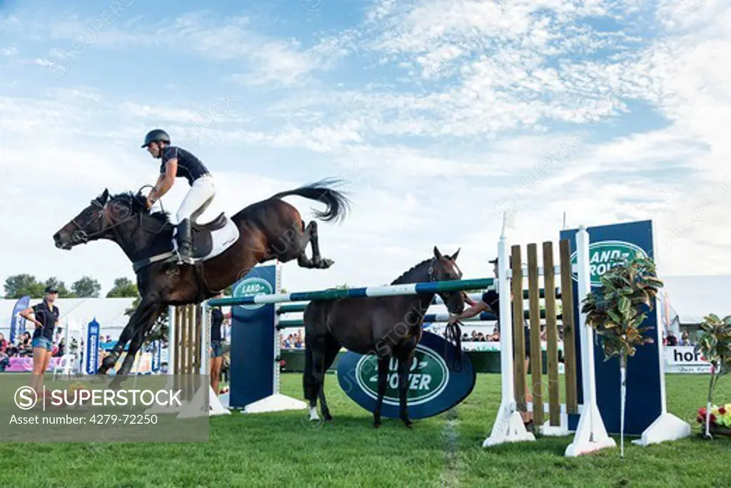 Kaimanawa Horse. Vicky Wilson on a chestnut gelding jumping over an obstacle in which another horse stands. New Zealand