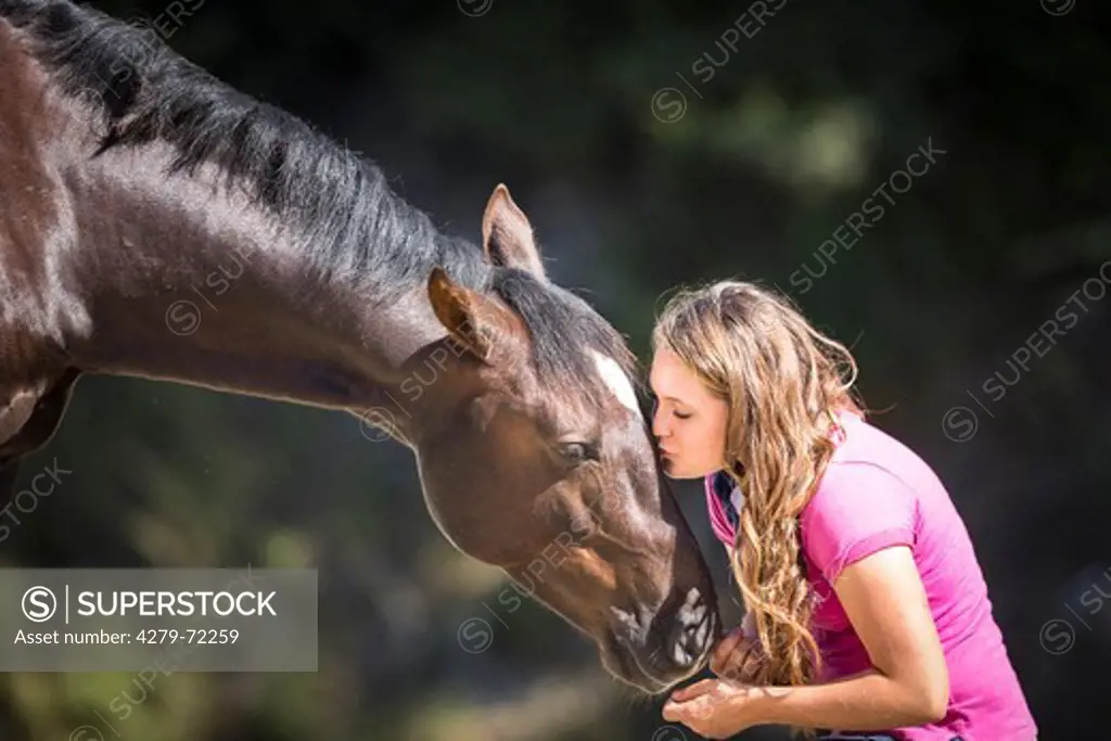 Kaimanawa Horse. Young woman interacting with a chestnut gelding. New Zealand