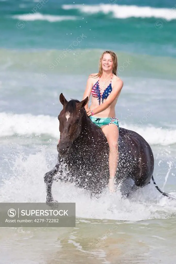 Kaimanawa Horse. Laughing young woman on chestnut gelding trotting in surf, without saddle and tack. New Zealand